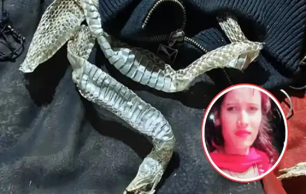 Home &mdash; Nedrick News