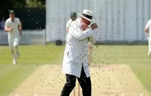 Unnao News Cricket Match