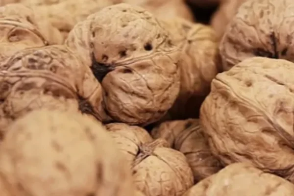 health-benefits-of-walnuts