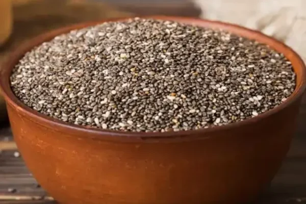 Chia seeds Benefits