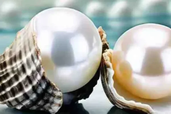 World Most expensive Pearls
