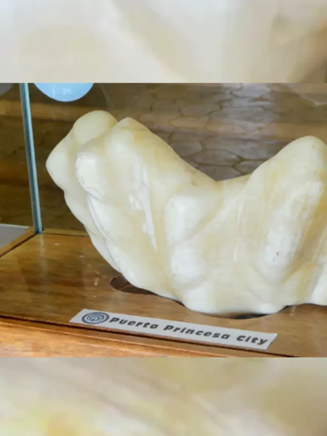 दुनिया का  सबसे महंगा मोती जिसकी कीमत है करोड़ो की