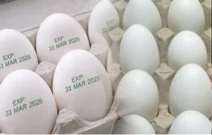 Egg Expiry Rule, Uttar Pradesh Egg Rule