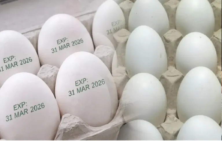 Egg Expiry Rule, Uttar Pradesh Egg Rule