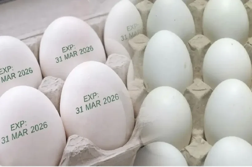 Egg Expiry Rule, Uttar Pradesh Egg Rule