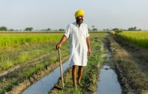 Green Revolution in Punjab