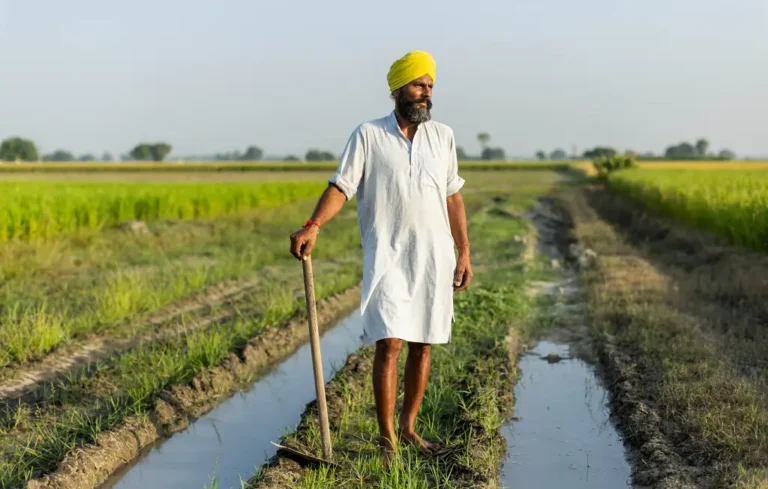 Green Revolution in Punjab