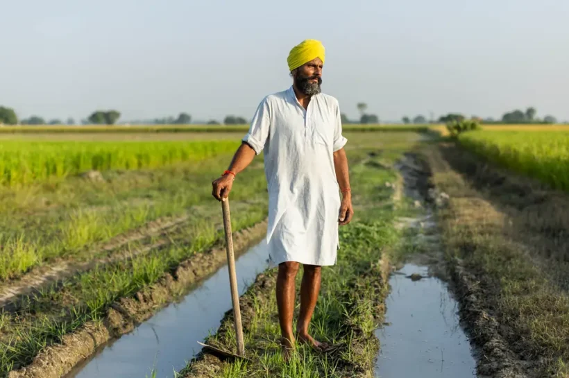 Green Revolution in Punjab