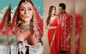 Hansika Motwani, Hansika Motwani Divorce