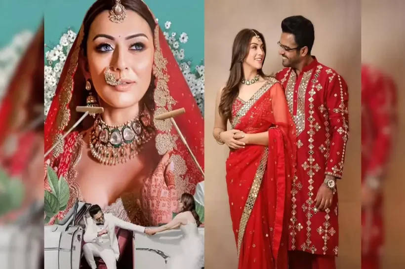 Hansika Motwani, Hansika Motwani Divorce