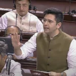 Raghav Chadha, Raghav Chadha Parliament