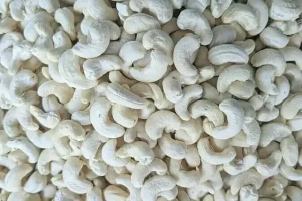Cashew, Cashew Benefits
