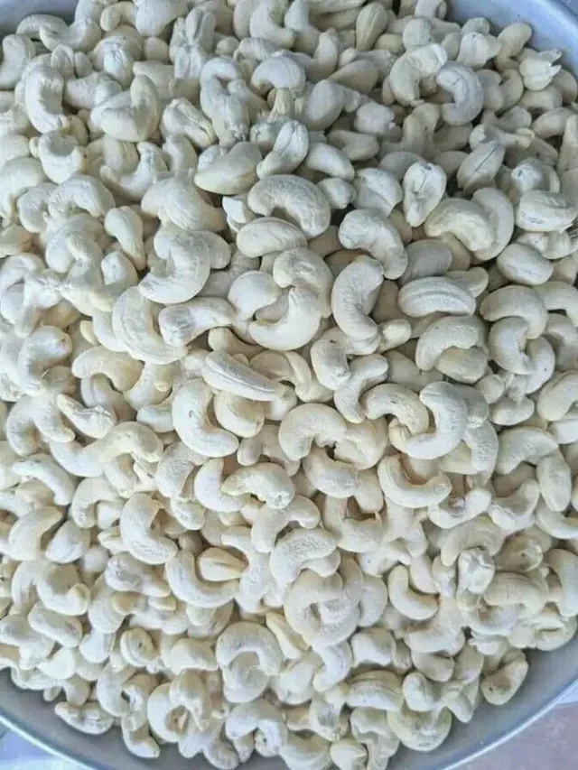 दिल की सेहत के लिए वरदान है काजू जानें सीमित सेवन के चमत्कारी फायदे