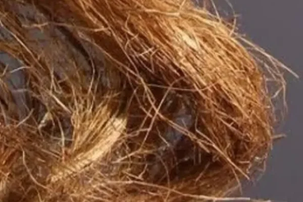 Frizzy Hair, Frizzy Hair Care Tips