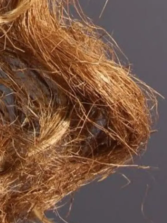 बालों में है फ्रिजीनेस तो अपनाये ये टिप्स