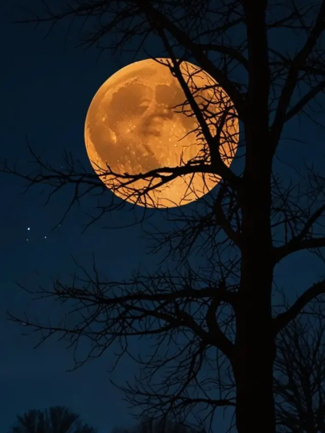 सफेद ही नहीं, इन रंगों में भी नजर आता है चांद, जानें इसके पीछे का विज्ञान