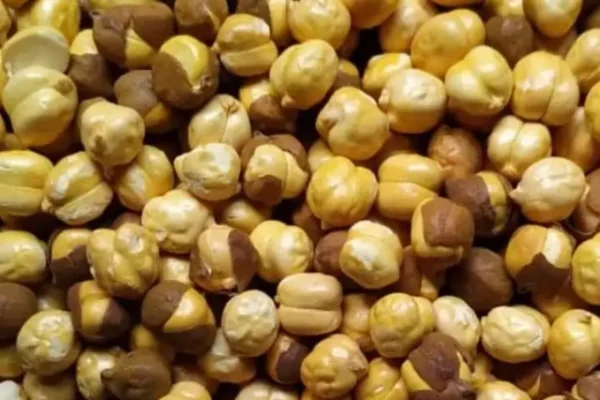 Roasted Chana, Roasted Chana benefits