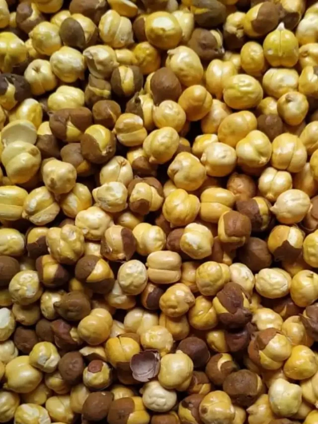 भुना चना और गुड़ खाने के 5 अद्भुत फायदे