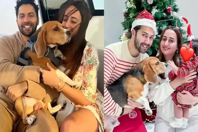 Varun Dhawan Daughter Health
