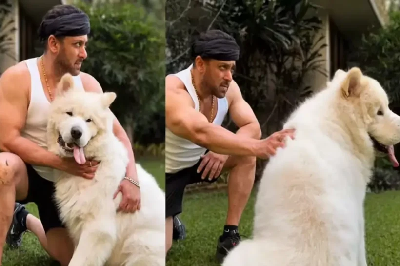 Salman Khan post