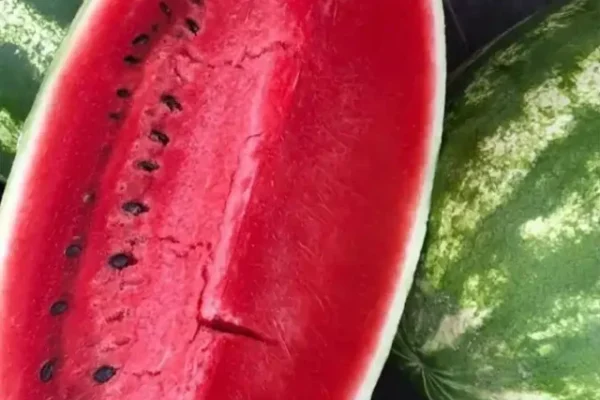 Watermelon benefits, Watermelon