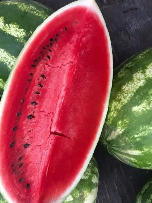 गर्मियों का सुपरफूड तरबूज खाने के ये 5 जादुई फायदे