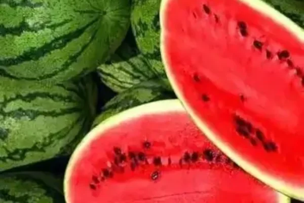 Watermelon Benefits, Health Benefits of Watermelon