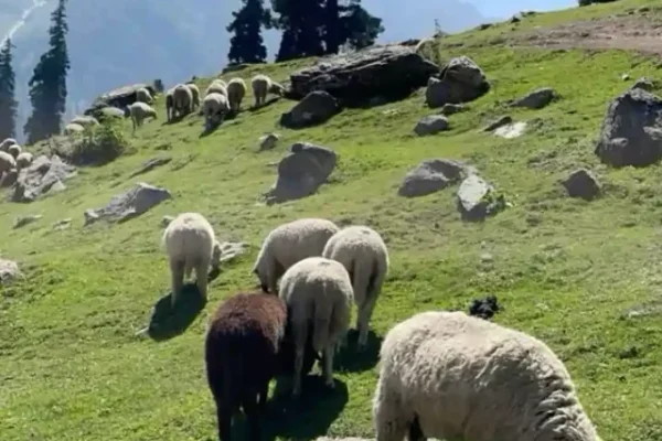 Kashmir, Tourist place of Kashmir