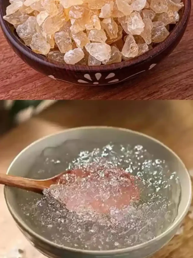 गर्मी का रामबाण इलाज गोंद कतीरा का कमाल जानें इसके फायदे