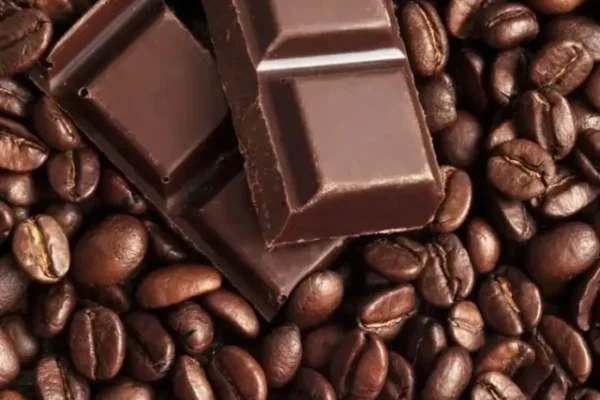 Dark chocolate, Dark chocolate benefits