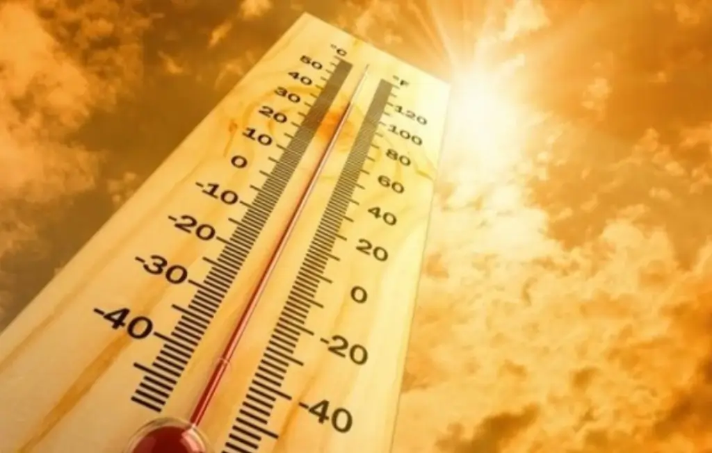 extreme heatwave body effects safety tips, extreme heatwave body effects safety tips