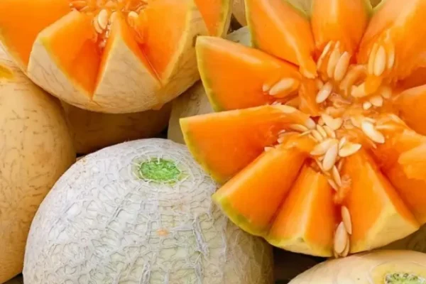 Muskmelon benefits, Muskmelon