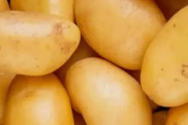 Boiled Potato benefits, Eat Boiled Potato