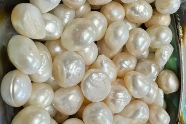 Pearls, White Pearls