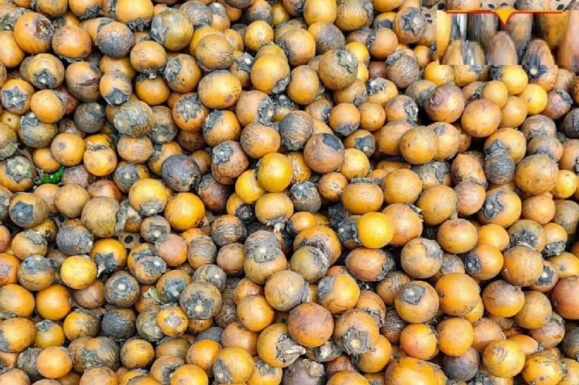 Bael Fruit Benefits