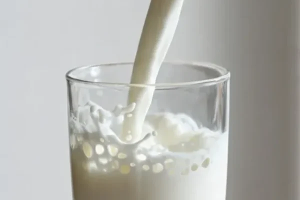 Right time to drink milk, Right time to drink milk