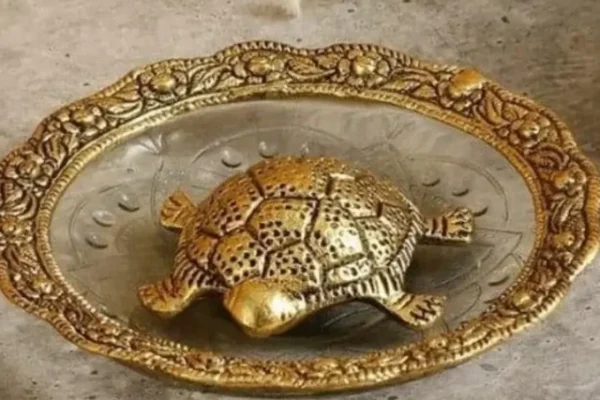 Brass tortoise vastu benefits, Vastu tips for tortoise