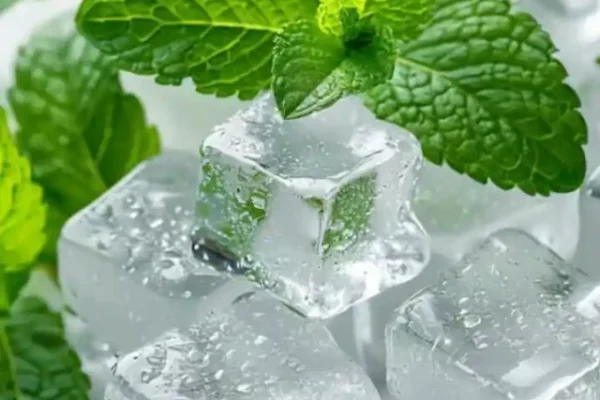 Mint Benefits, Mint Benefits for health