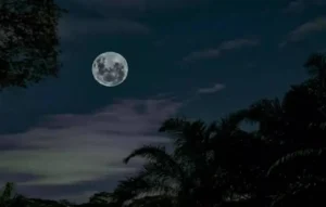 Ashadha Purnima पर सुबह भद्रा का साया, जानें शाम को लक्ष्मी पूजा का महामुहूर्त और सही तारीख Ashadha Purnima, Ashadha Purnima 2026