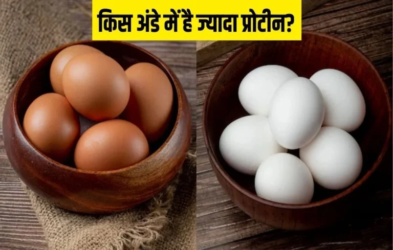 Brown eggs vs white eggs