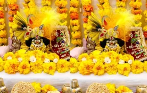 Laddu Gopal care in rainy season, Laddu Gopal