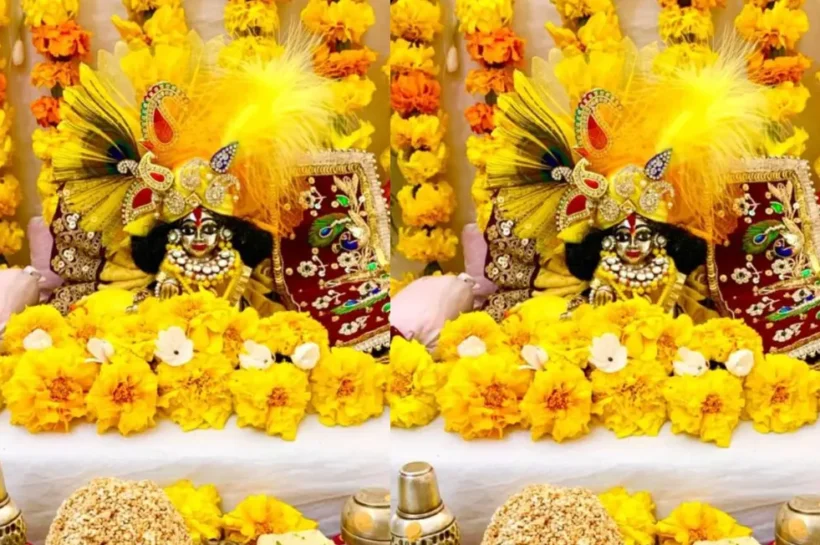 Laddu Gopal care in rainy season, Laddu Gopal