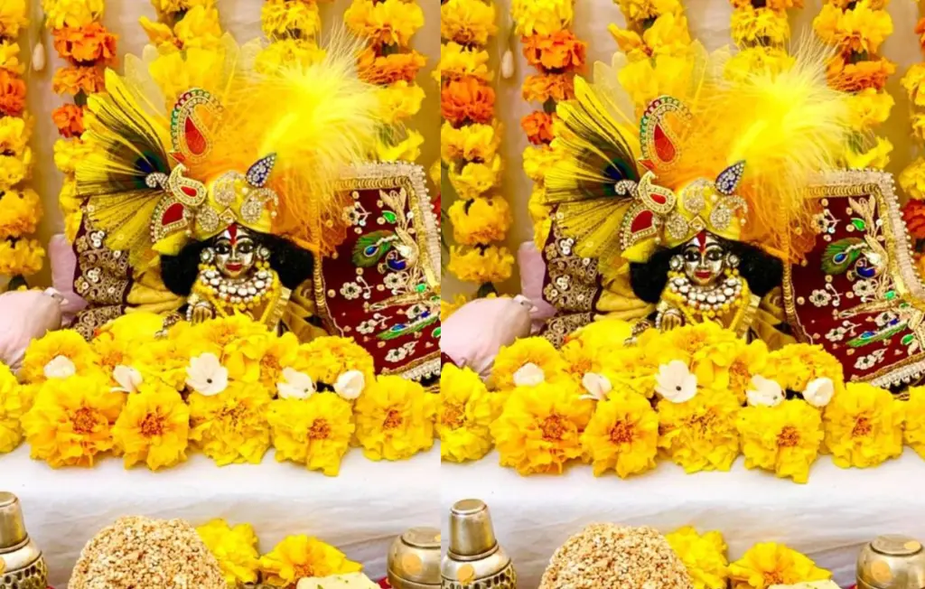 Laddu Gopal care in rainy season, Laddu Gopal