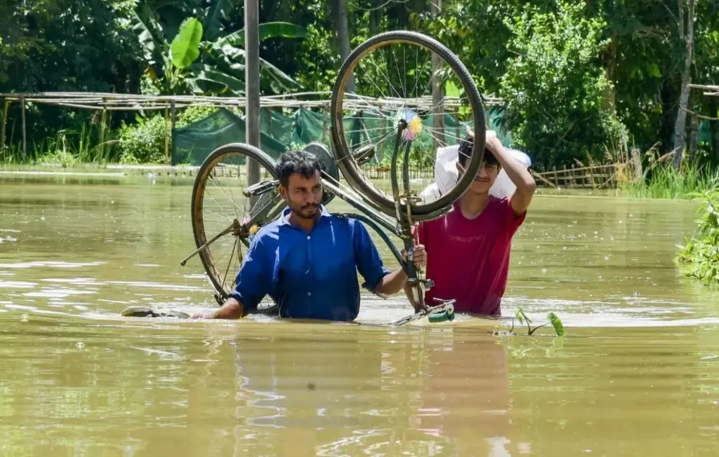 Assam Flood Update 2026, Assam Flood