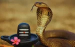 Nag Panchami 2026, Nag Panchami