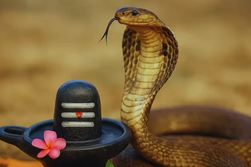 Nag Panchami 2026, Nag Panchami