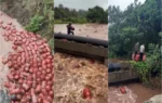 Maharashtra Rain News
