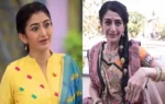Neha Mehta News
