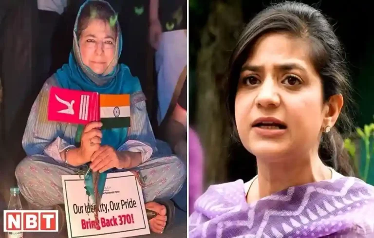 Article 370 Protest