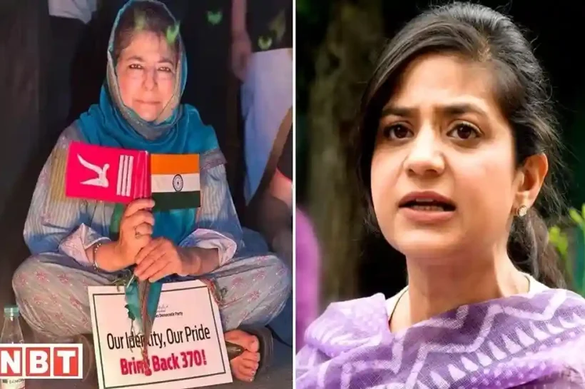 Article 370 Protest